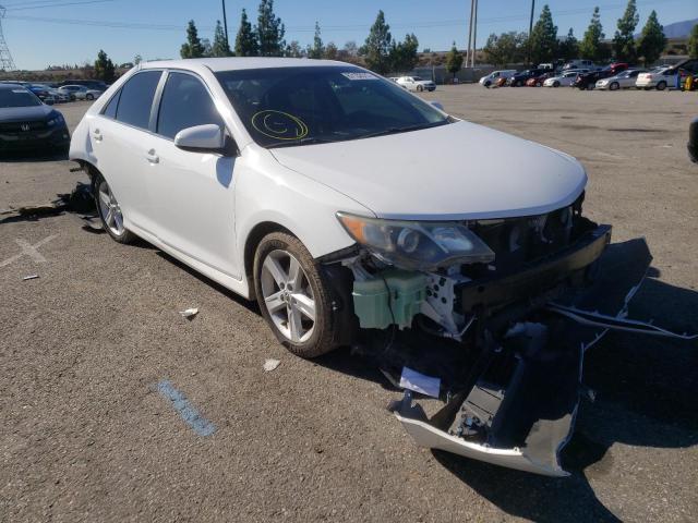 TOYOTA CAMRY L 2013 4t1bf1fk1du222577