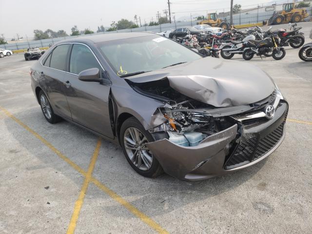 TOYOTA CAMRY LE 2015 4t1bf1fk1fu908444