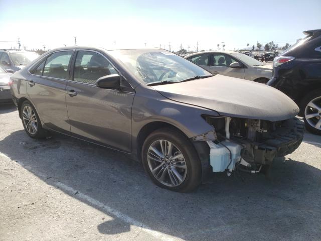 TOYOTA CAMRY LE 2016 4t1bf1fk1gu125982