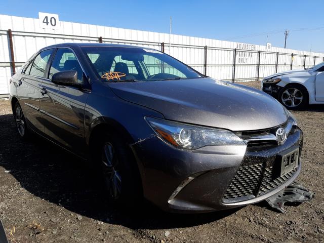 TOYOTA CAMRY LE 2016 4t1bf1fk1gu255423