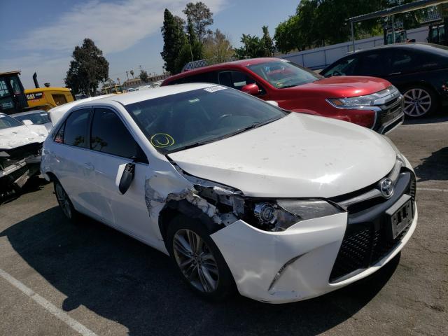 TOYOTA CAMRY LE 2016 4t1bf1fk1gu527100