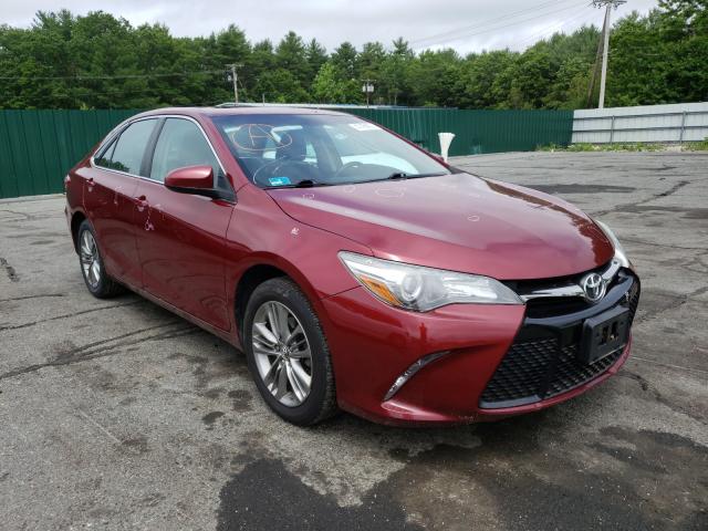 TOYOTA CAMRY LE 2016 4t1bf1fk1gu528134