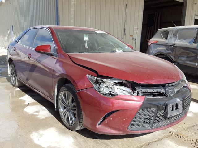 TOYOTA CAMRY LE 2016 4t1bf1fk1gu600157