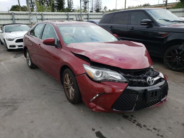 TOYOTA CAMRY LE 2016 4t1bf1fk1gu609358