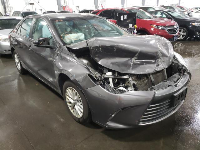 TOYOTA CAMRY LE 2016 4t1bf1fk1gu609389