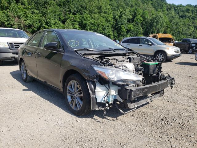 TOYOTA CAMRY LE 2016 4t1bf1fk2gu190307