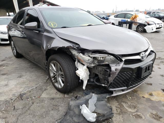 TOYOTA CAMRY LE 2016 4t1bf1fk2gu229459