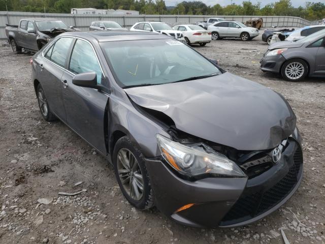 TOYOTA CAMRY LE 2016 4t1bf1fk2gu264406