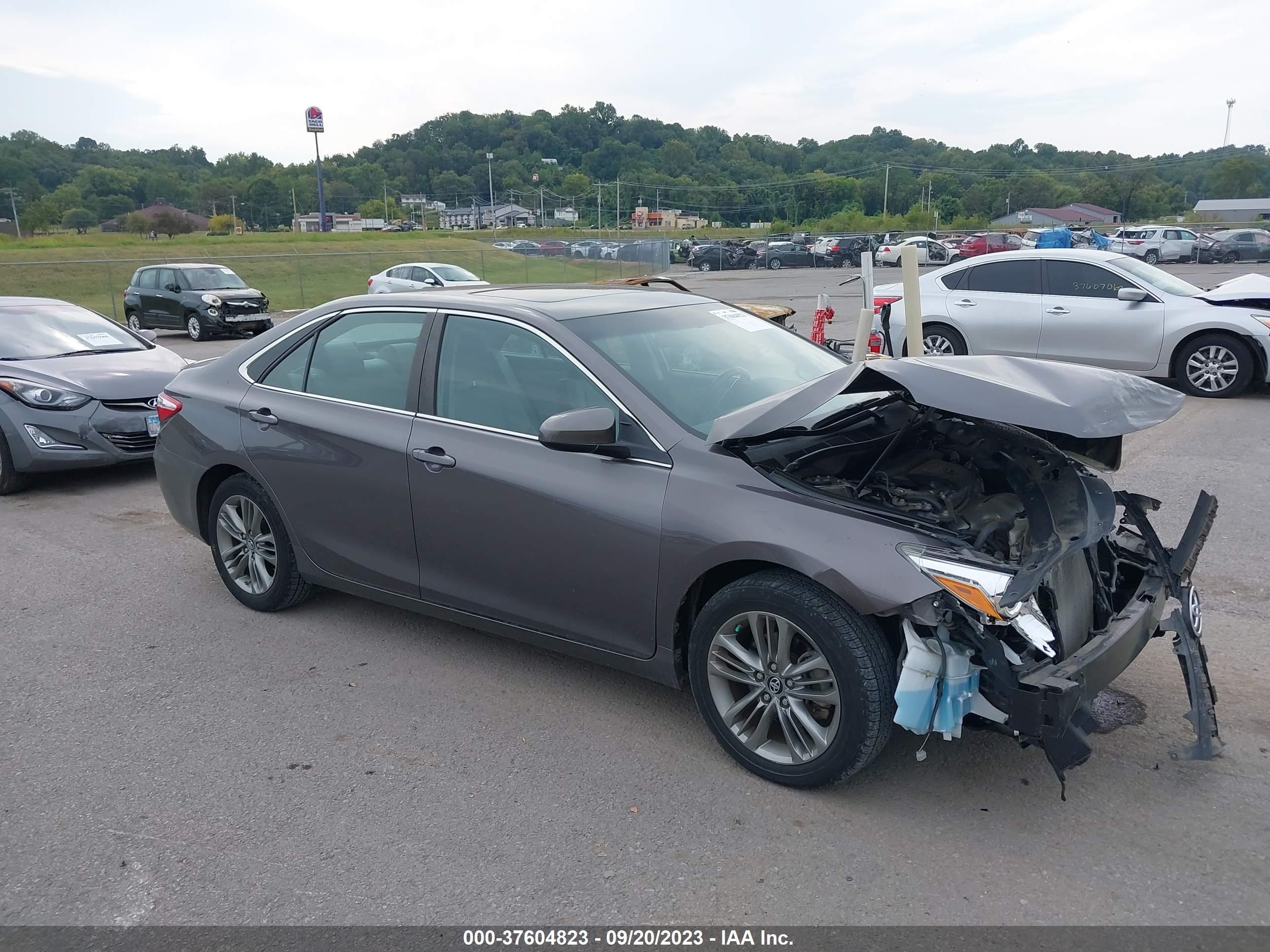 TOYOTA CAMRY 2016 4t1bf1fk2gu566553