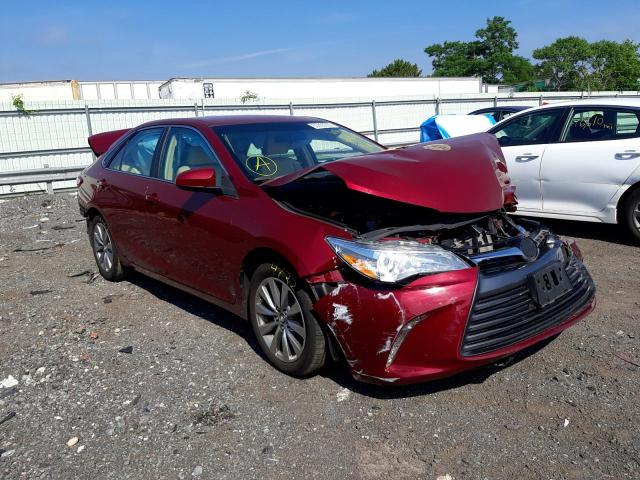 TOYOTA CAMRY LE 2016 4t1bf1fk2gu601608