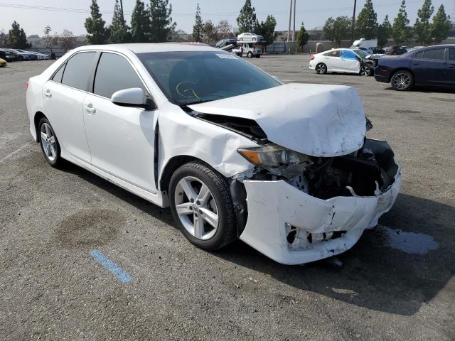 TOYOTA CAMRY L 2013 4t1bf1fk3du671100