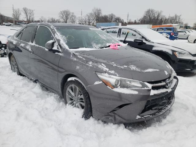 TOYOTA CAMRY LE 2016 4t1bf1fk3gu155288