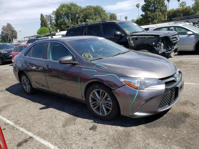 TOYOTA CAMRY LE 2016 4t1bf1fk3gu261059