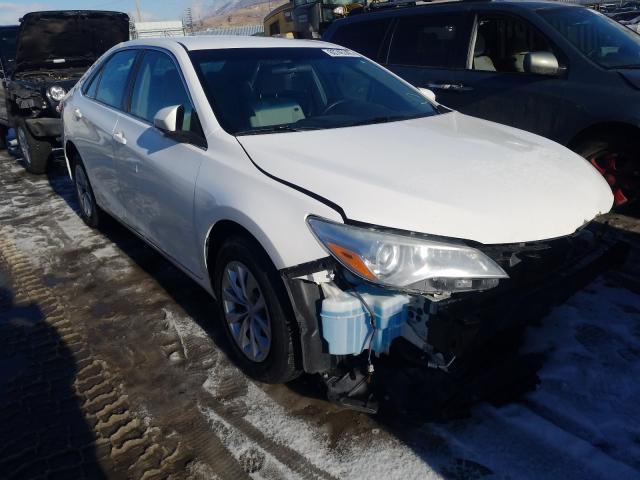 TOYOTA CAMRY LE 2016 4t1bf1fk3gu536090