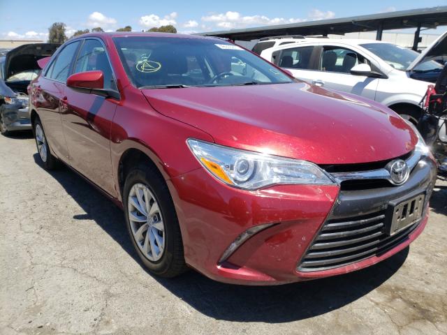 TOYOTA CAMRY LE 2016 4t1bf1fk3gu612181