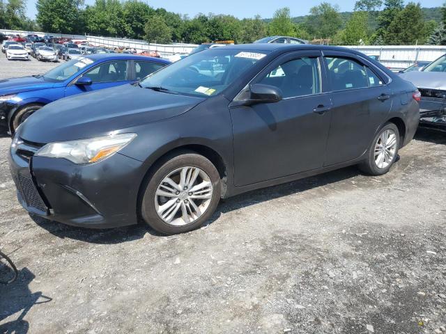 TOYOTA CAMRY LE 2016 4t1bf1fk4gu223436