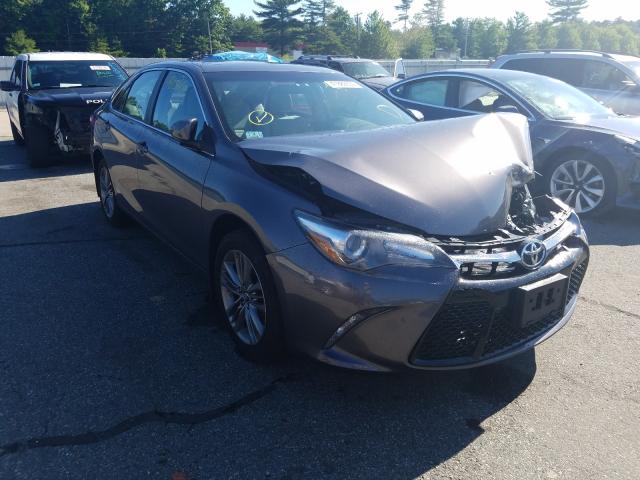 TOYOTA CAMRY LE 2016 4t1bf1fk4gu234744