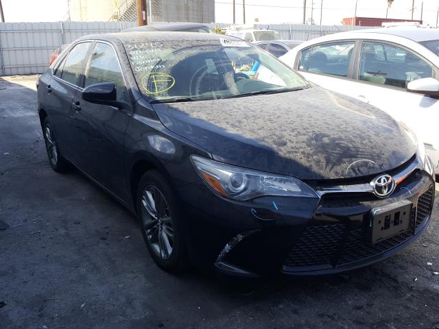 TOYOTA NULL 2016 4t1bf1fk4gu242987