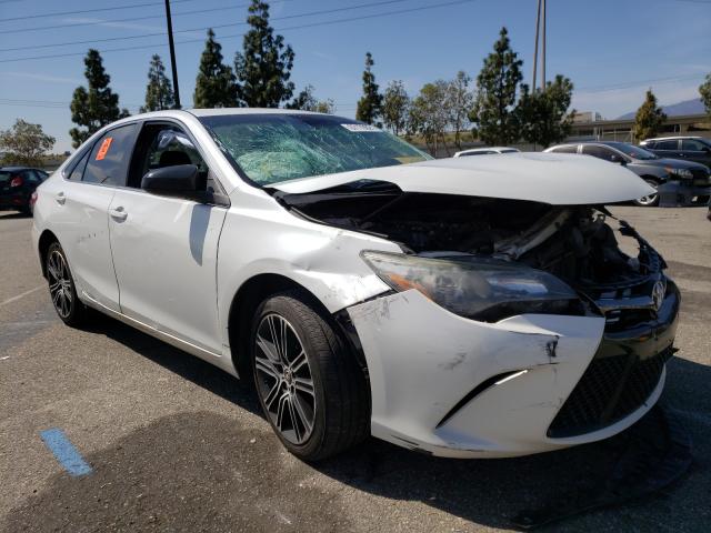 TOYOTA CAMRY LE 2016 4t1bf1fk4gu554288