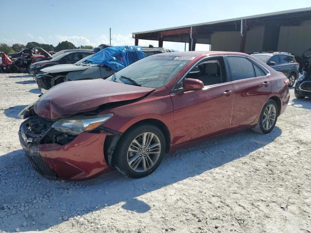 TOYOTA CAMRY LE 2016 4t1bf1fk4gu591907