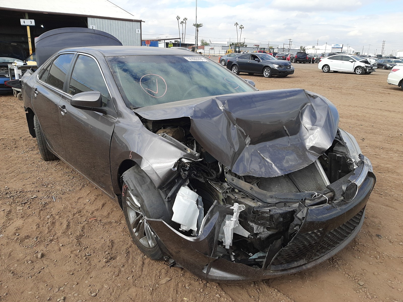 TOYOTA CAMRY LE 2016 4t1bf1fk4gu608544