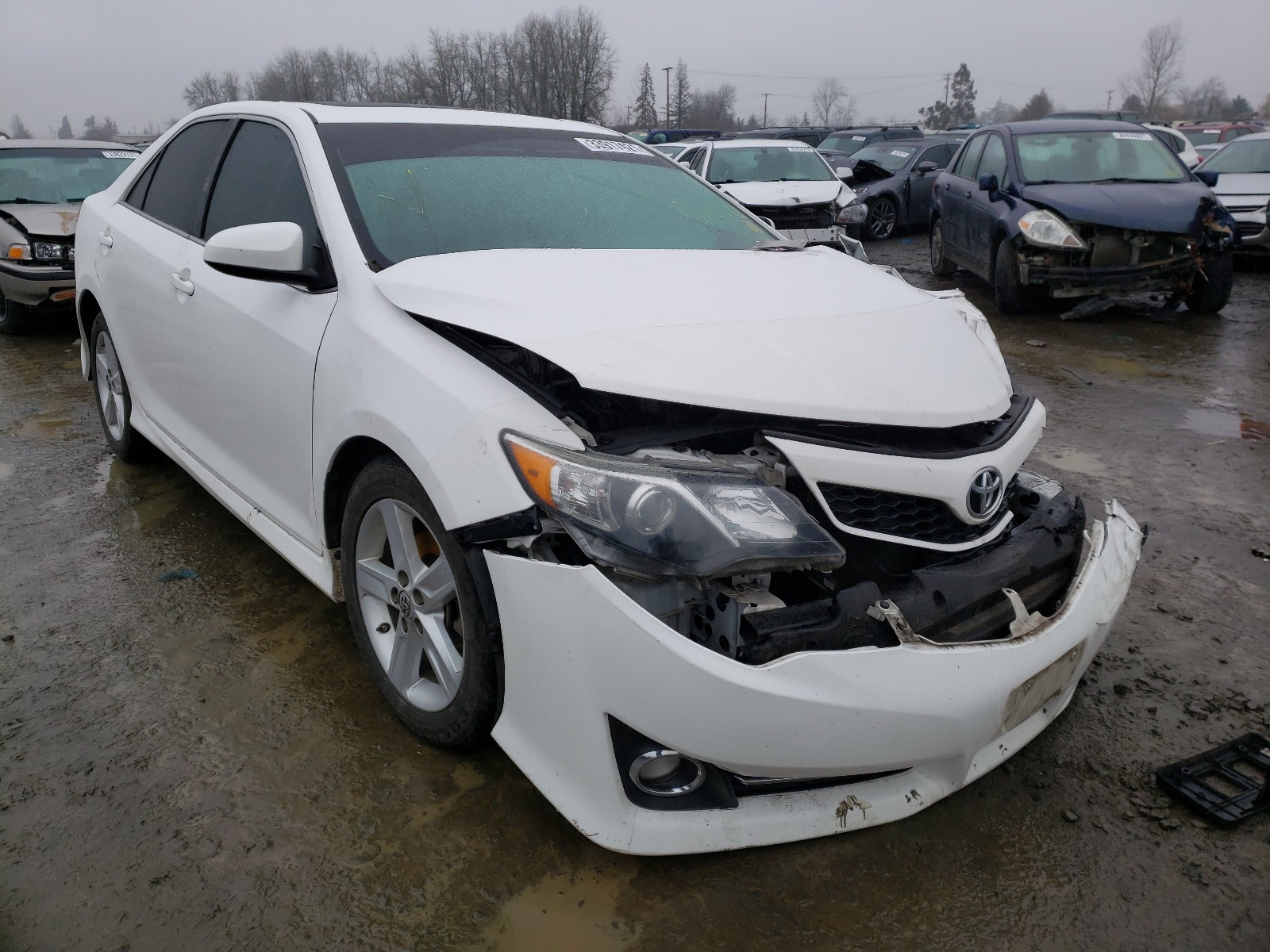 TOYOTA CAMRY L 2013 4t1bf1fk5du667498