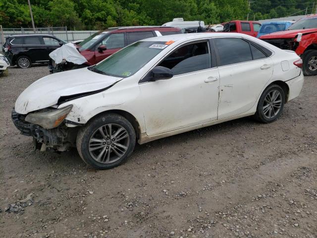 TOYOTA CAMRY LE 2015 4t1bf1fk5fu038567