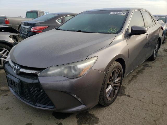 TOYOTA CAMRY LE 2016 4t1bf1fk5gu123913