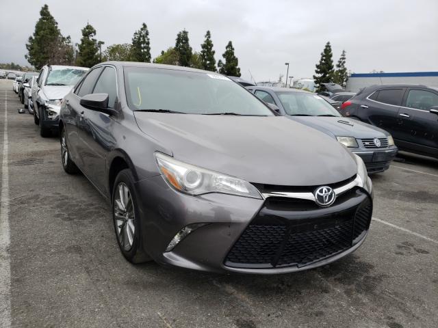 TOYOTA CAMRY LE 2016 4t1bf1fk5gu203230