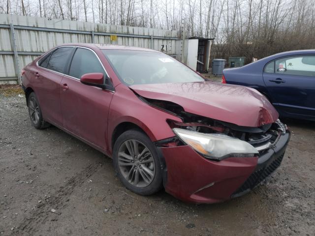 TOYOTA CAMRY LE 2016 4t1bf1fk5gu504032