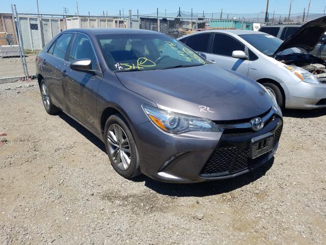 TOYOTA CAMRY LE 2016 4t1bf1fk5gu610304