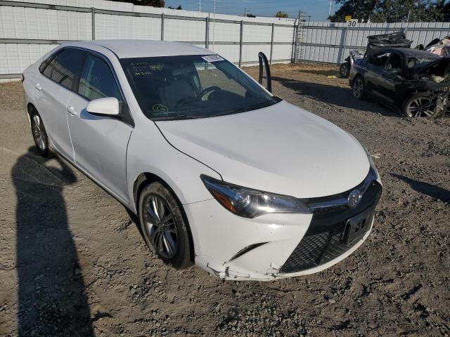 TOYOTA CAMRY LE 2016 4t1bf1fk6gu147704