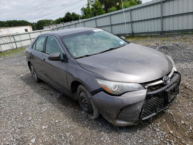 TOYOTA CAMRY LE 2016 4t1bf1fk6gu542305