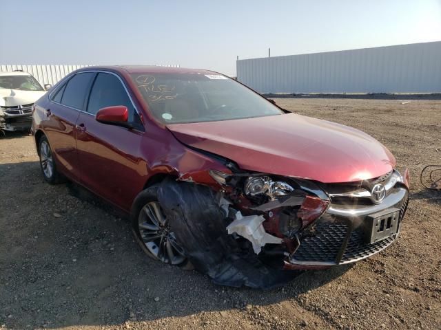 TOYOTA CAMRY LE 2016 4t1bf1fk6gu555264