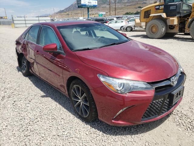 TOYOTA CAMRY LE 2016 4t1bf1fk6gu596039