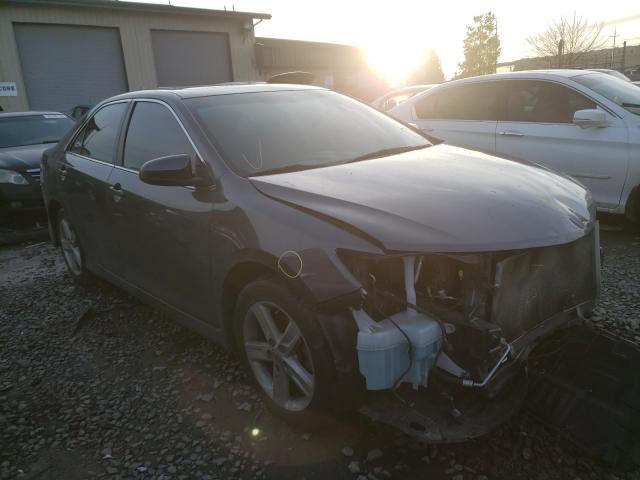 TOYOTA CAMRY L 2013 4t1bf1fk7du668443