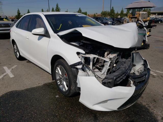 TOYOTA CAMRY LE 2015 4t1bf1fk7fu008552