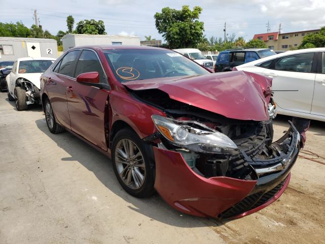 TOYOTA CAMRY LE 2016 4t1bf1fk7gu526369