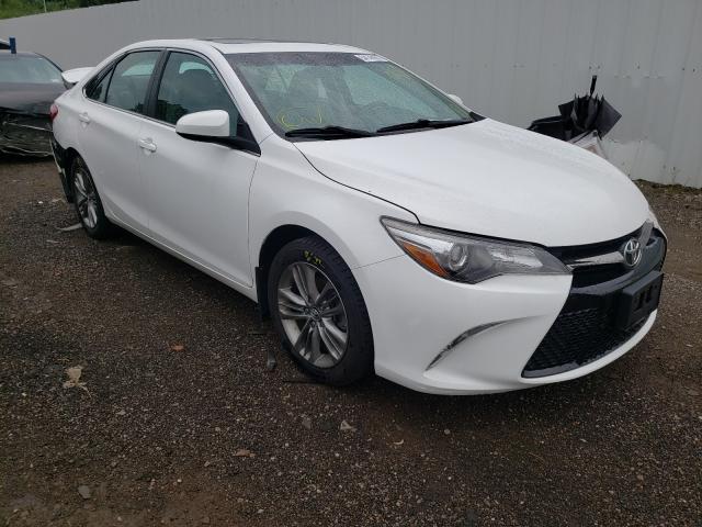 TOYOTA CAMRY LE 2016 4t1bf1fk7gu558111