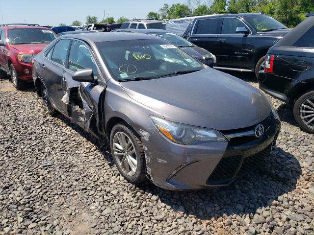 TOYOTA CAMRY LE 2016 4t1bf1fk7gu581727