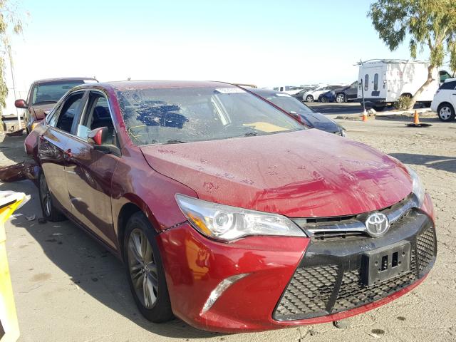 TOYOTA CAMRY LE 2016 4t1bf1fk7gu582425