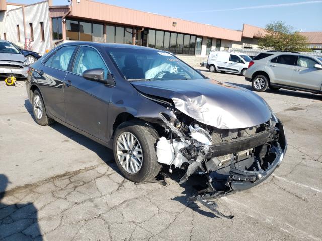 TOYOTA CAMRY LE 2016 4t1bf1fk7gu609316