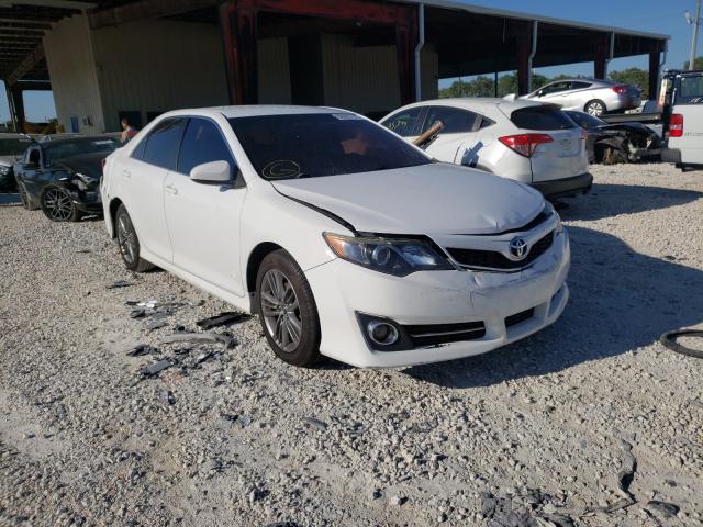 TOYOTA CAMRY L 2013 4t1bf1fk8du271971