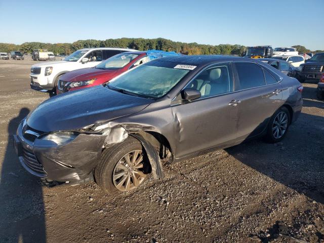 TOYOTA CAMRY LE 2016 4t1bf1fk8gu139460