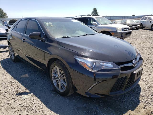 TOYOTA CAMRY LE 2016 4t1bf1fk8gu225321