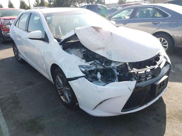 TOYOTA CAMRY LE 2016 4t1bf1fk8gu237968