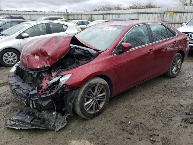 TOYOTA CAMRY LE 2016 4t1bf1fk8gu588279