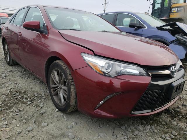 TOYOTA CAMRY LE 2016 4t1bf1fk8gu599394