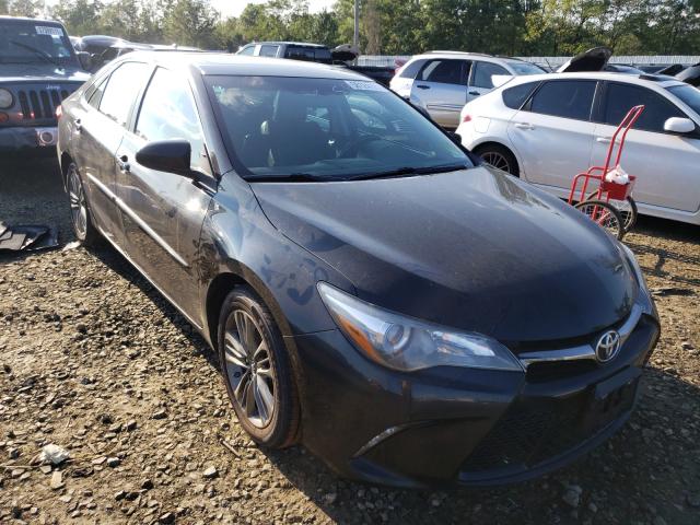 TOYOTA CAMRY LE 2016 4t1bf1fk9gu229247