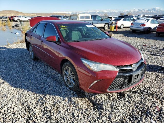 TOYOTA CAMRY LE A 2016 4t1bf1fk9gu609513